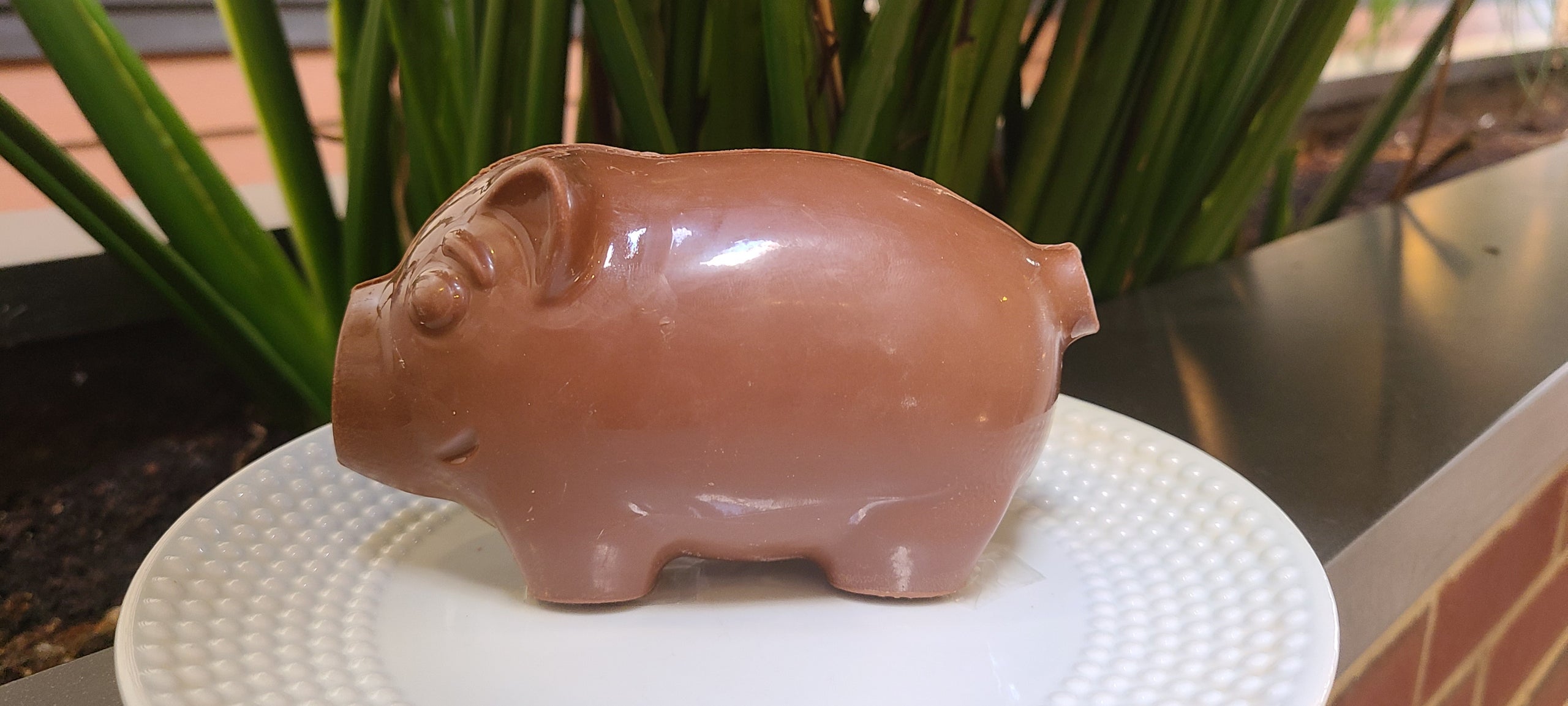 Smashable piggy deals bank